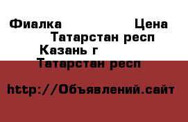 Фиалка Spring rose › Цена ­ 100 - Татарстан респ., Казань г.  »    . Татарстан респ.